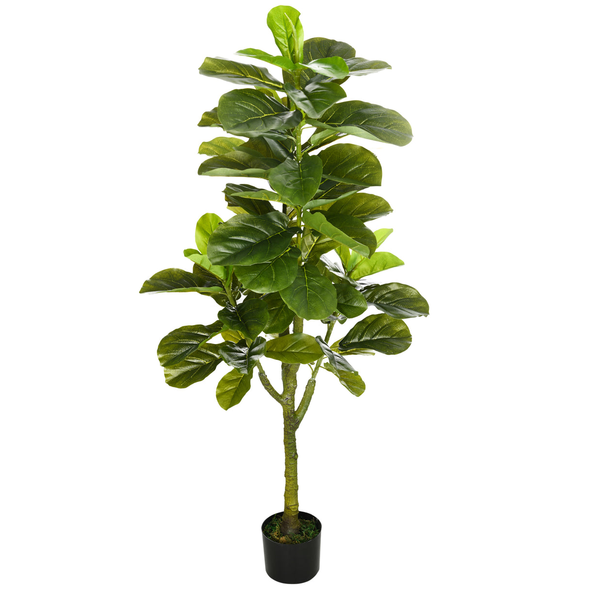 easycomfort pianta artificiale di ficus da 150 cm a 75 foglie e 4 rami con vaso o15x12.5 cm per interni ed esterni verde