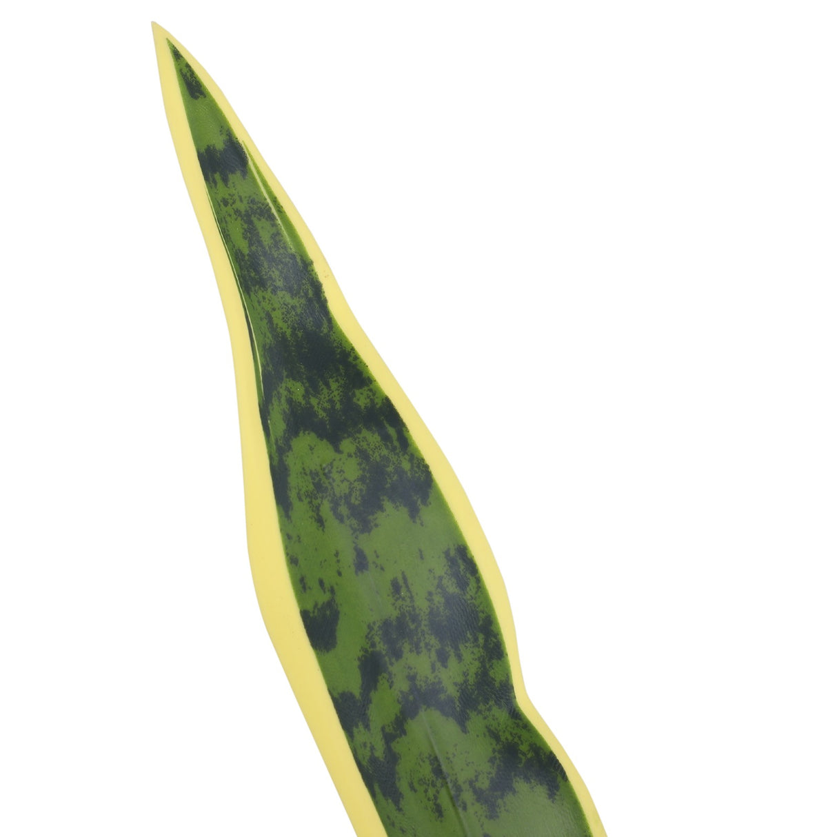 easycomfort easycomfort sanseveria artificiale pianta da esterno e interno con vaso decorativo realistica verde e giallo 15cm x 80cm