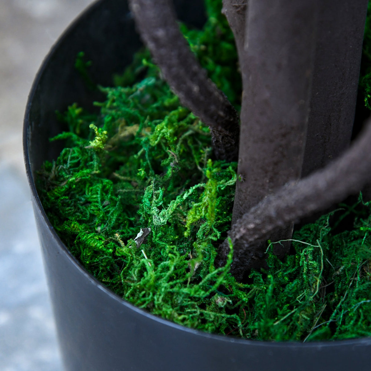 easycomfort easycomfort pianta artificiale glicine bianco finto 165cm per interni ed esterni