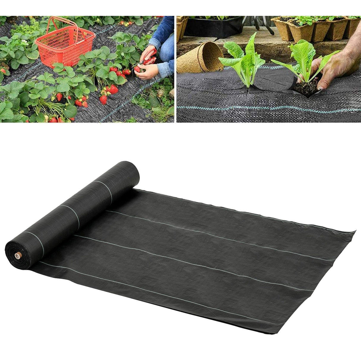 easycomfort easycomfort telo nero pacciamatura 50x2m per orto serra giardino drenante e traspirante con quadrettatura