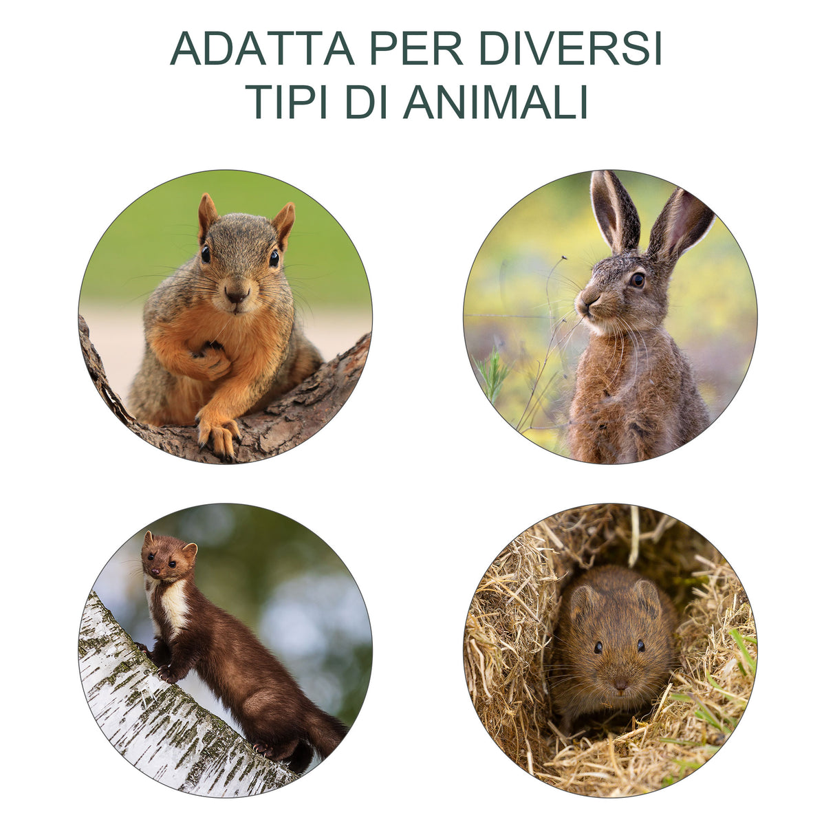 easycomfort easycomfort trappola per ratti topi e nutrie pieghevole in acciaio