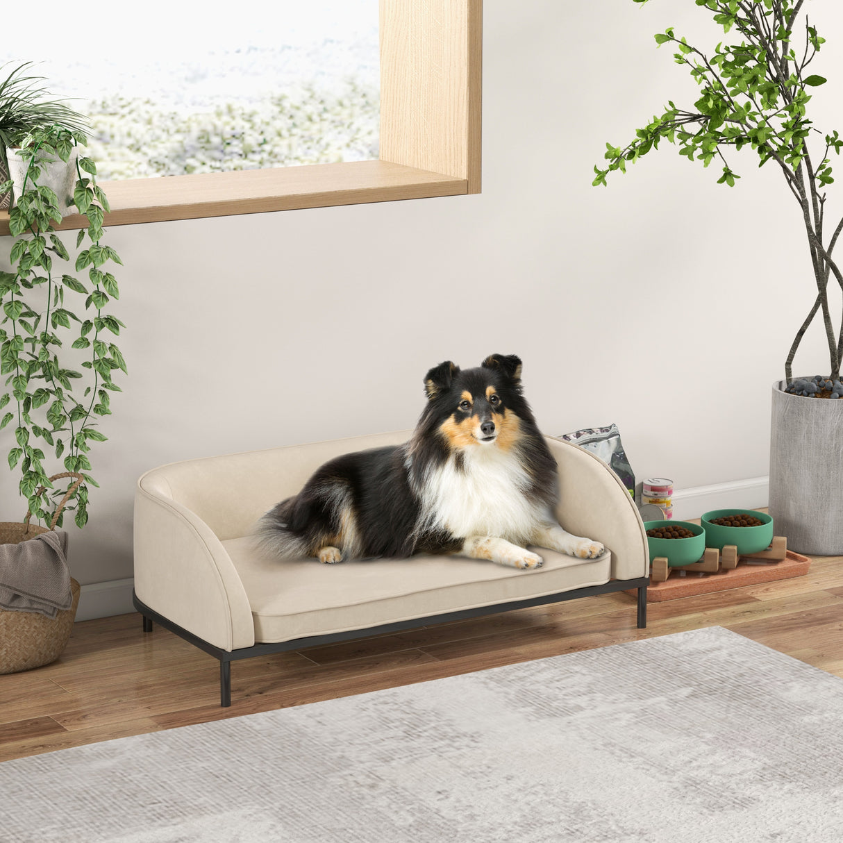 easycomfort easycomfort divano per cani taglia media e grande con cuscino rimovibile e sfoderabile vellutato crema