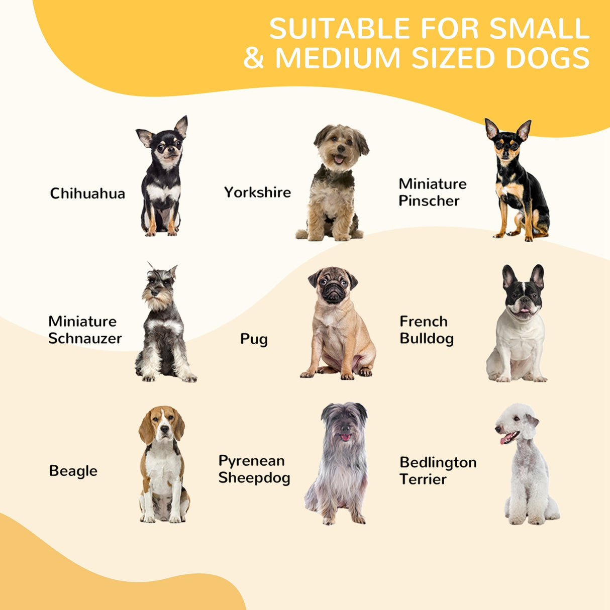 easycomfort recinto modulare per cani da interno ed esterno in metallo e acciaio 8 pannelli 79x79cm