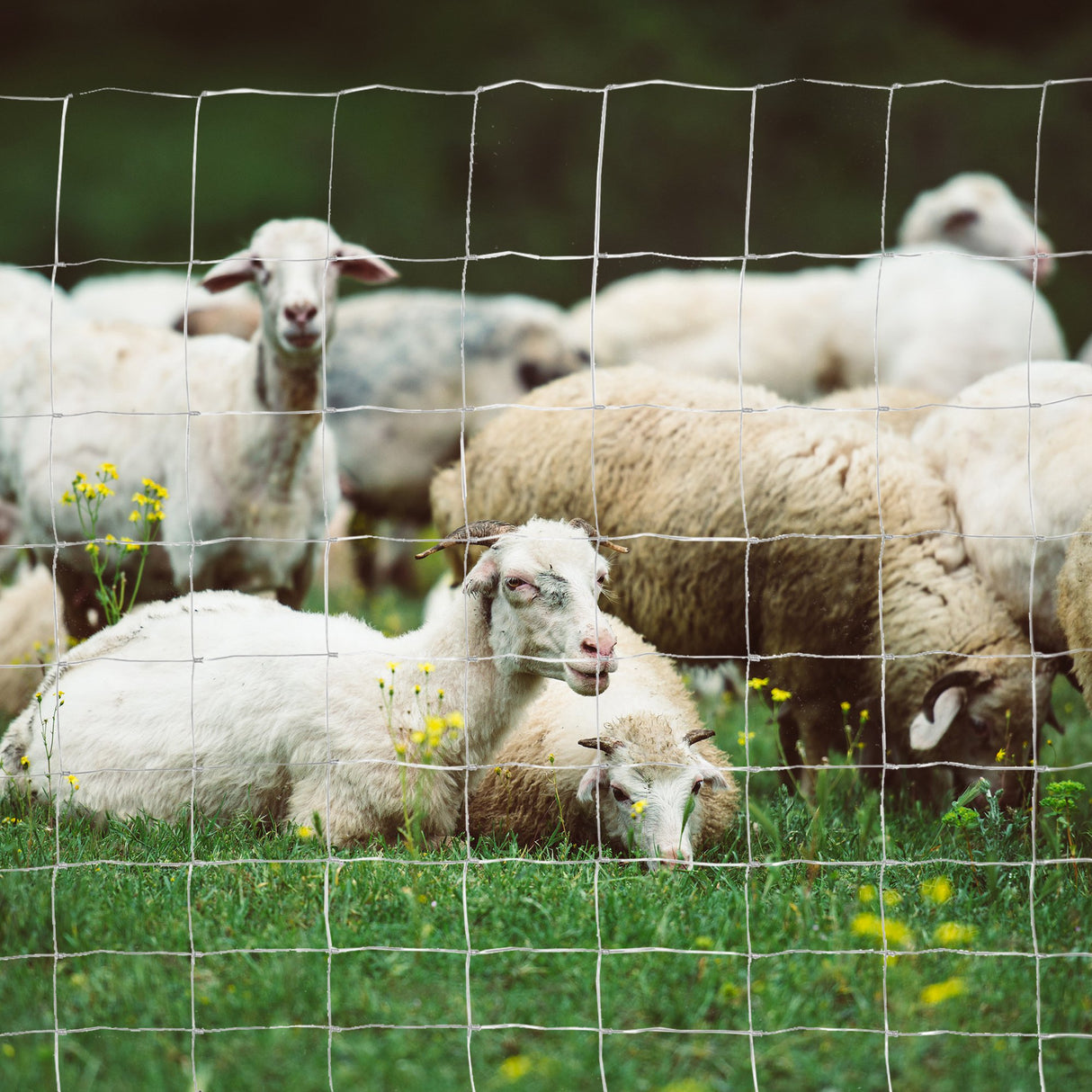 easycomfort rotolo di rete per recinzione metallica zincata da 26.1m altezza 1.2m argento