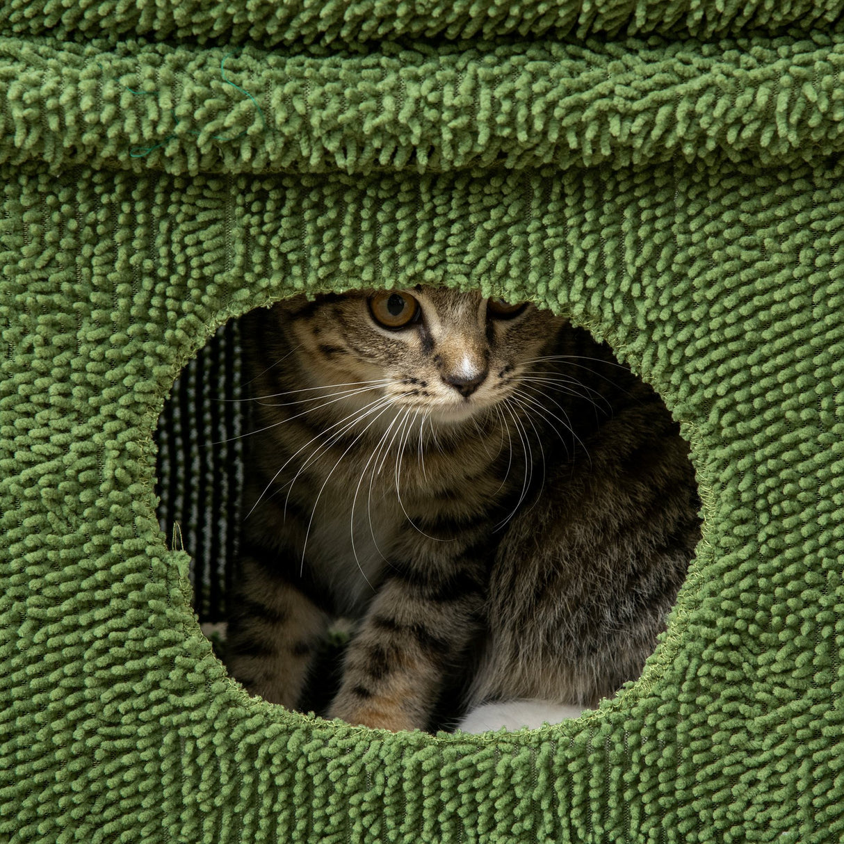 easycomfort tiragraffi per gatti con lettino casetta e palo in sisal a forma di cactus 68x30x67cm verde