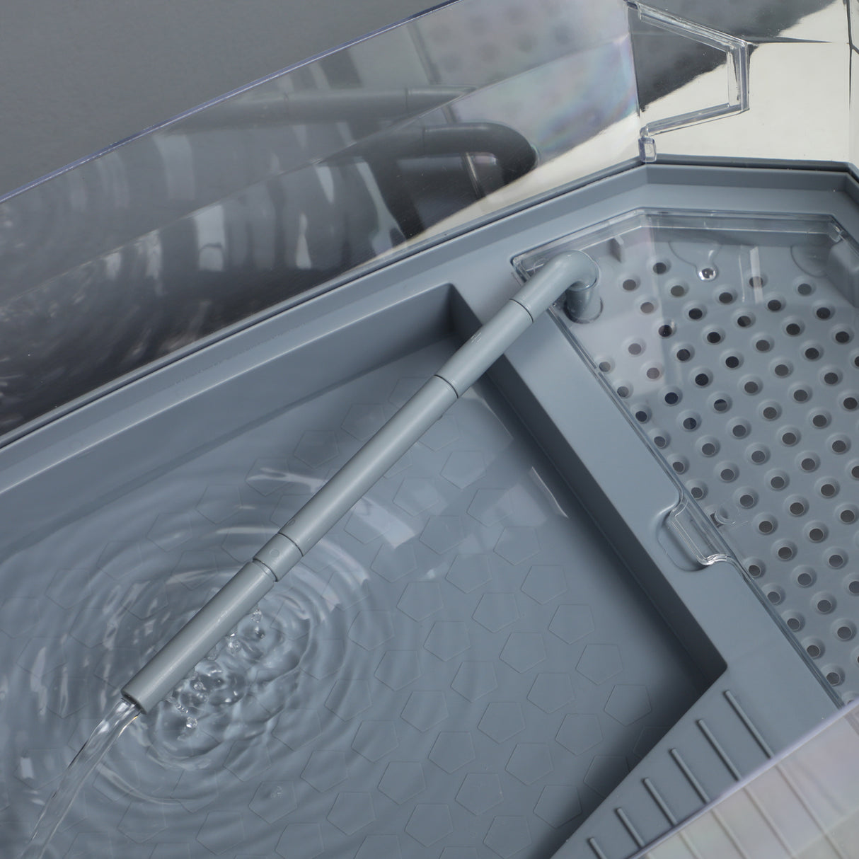 easycomfort vasca per tartarughe multifunzione con tubo e pompa d acqua 62x31x 21cm bianca