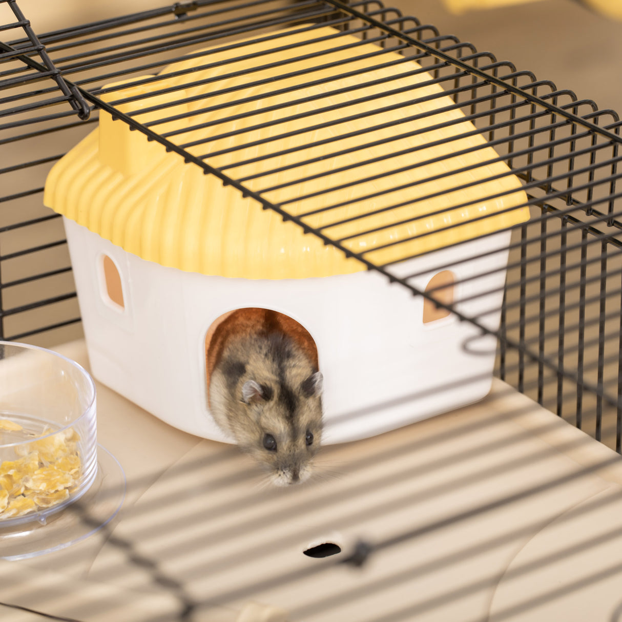 easycomfort easycomfort gabbia per criceti con casetta tunnel e ruota base con 4 rotelle 60x35x38 5cm nero e marrone