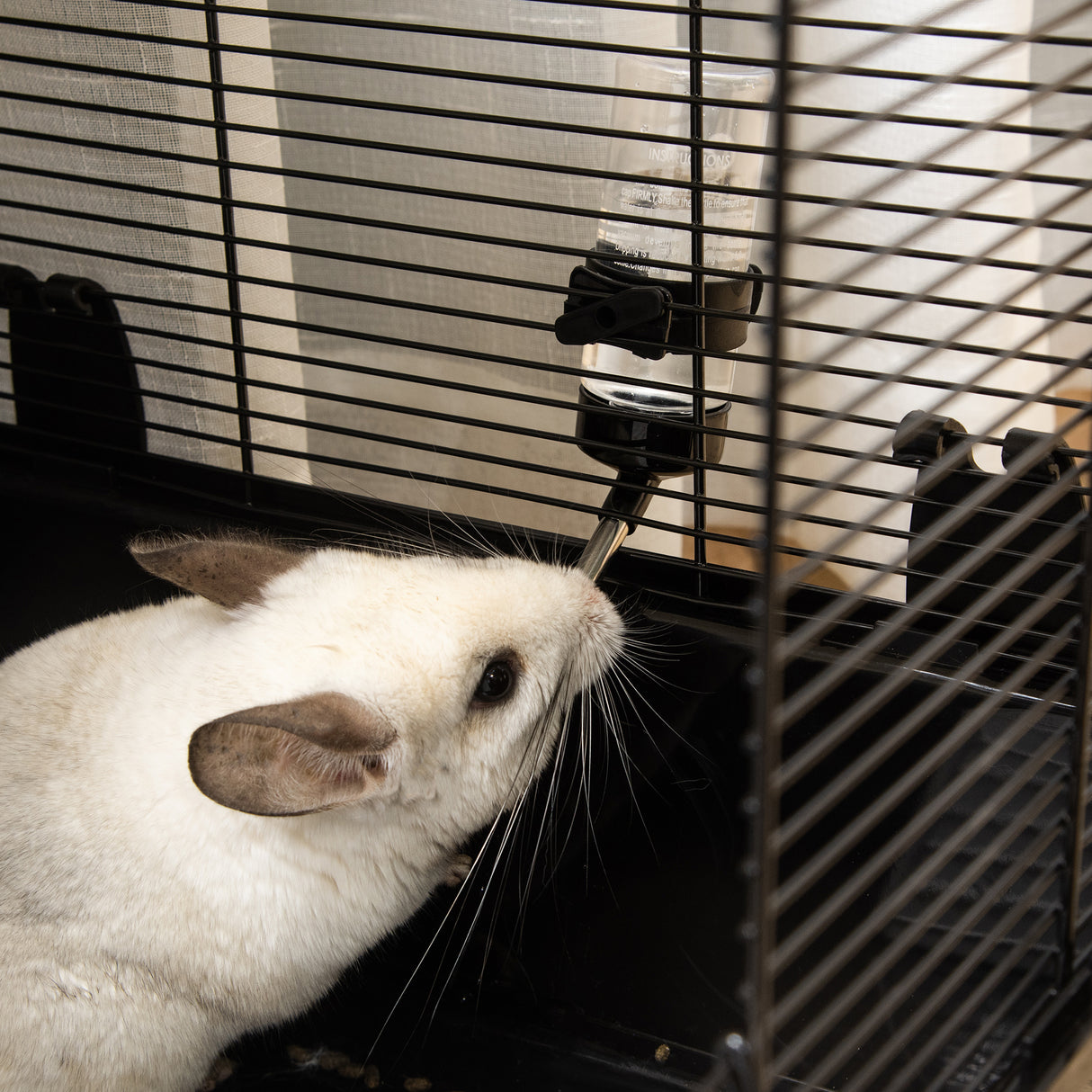 immagine-9-easycomfort-gabbia-per-porcellino-d-india-con-maniglia-serbatoio-d-acqua-rampa-e-piatto-80x48x58cm-nera