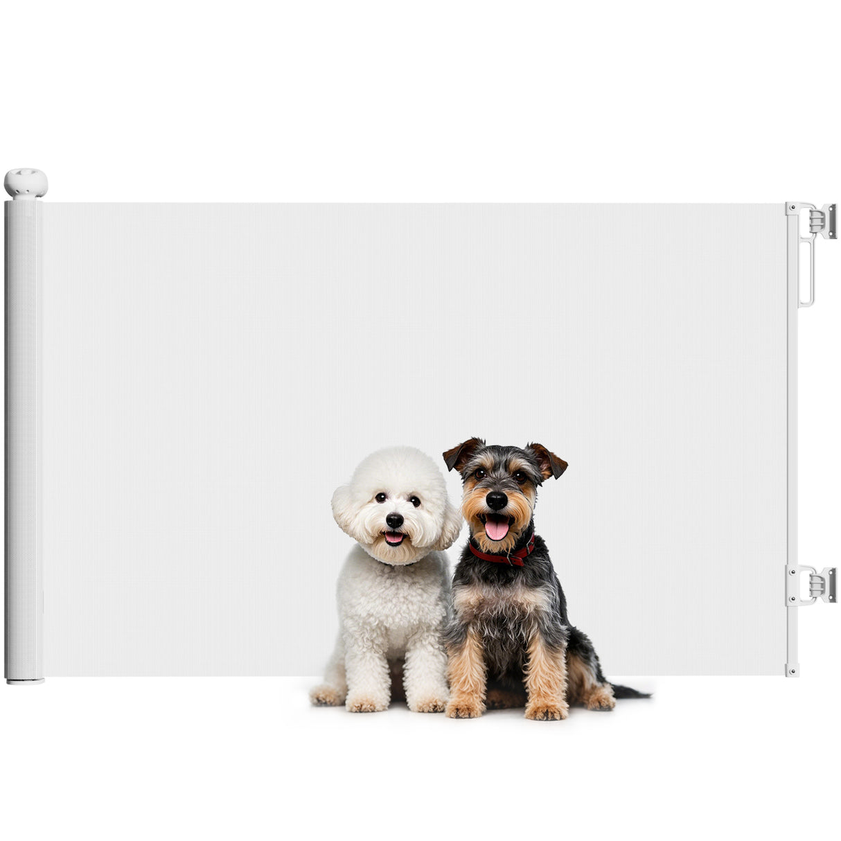 easycomfort easycomfort cancellino per cani piccoli estensibile 0 140x86 5 cm e retrattile con blocco automatico bianco