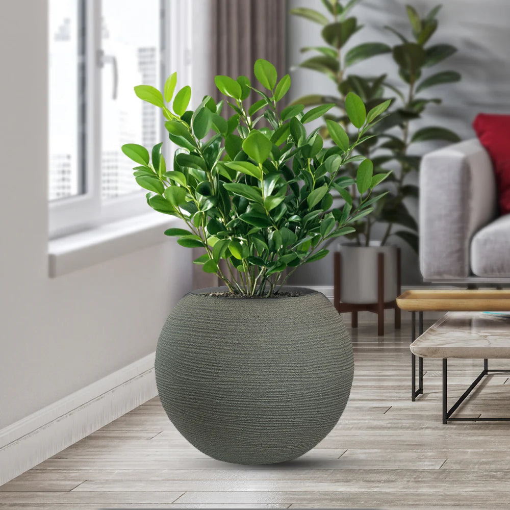 divina garden vaso in resina da esterno interno per piante tondo a sfera di design d 40x33h botticelli verde ean 8056157808985