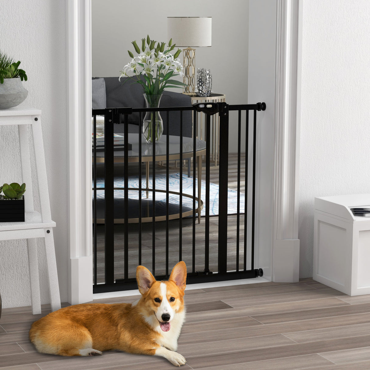 easycomfort easycomfort cancellino per cani a 2 estensioni con larghezza regolabile fino 100 cm e chiusura automatica nero