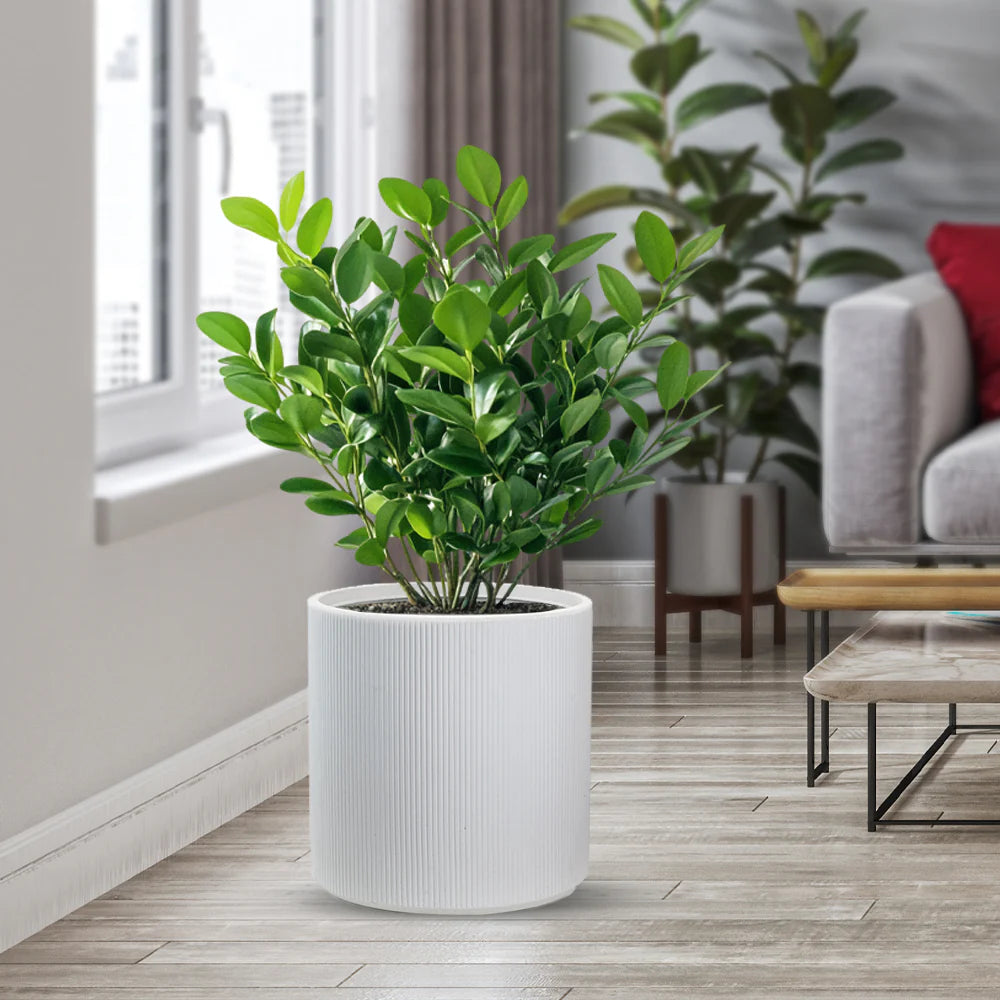 divina garden vaso in resina da esterno interno per piante tondo cilindrico di design d 36x35h modigliani bianco ean 8056157808923