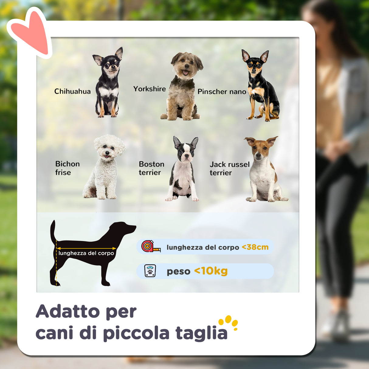 easycomfort easycomfort passeggino per cani piccoli pieghevole con copertura antipioggia cestino e guinzaglio integrato verde