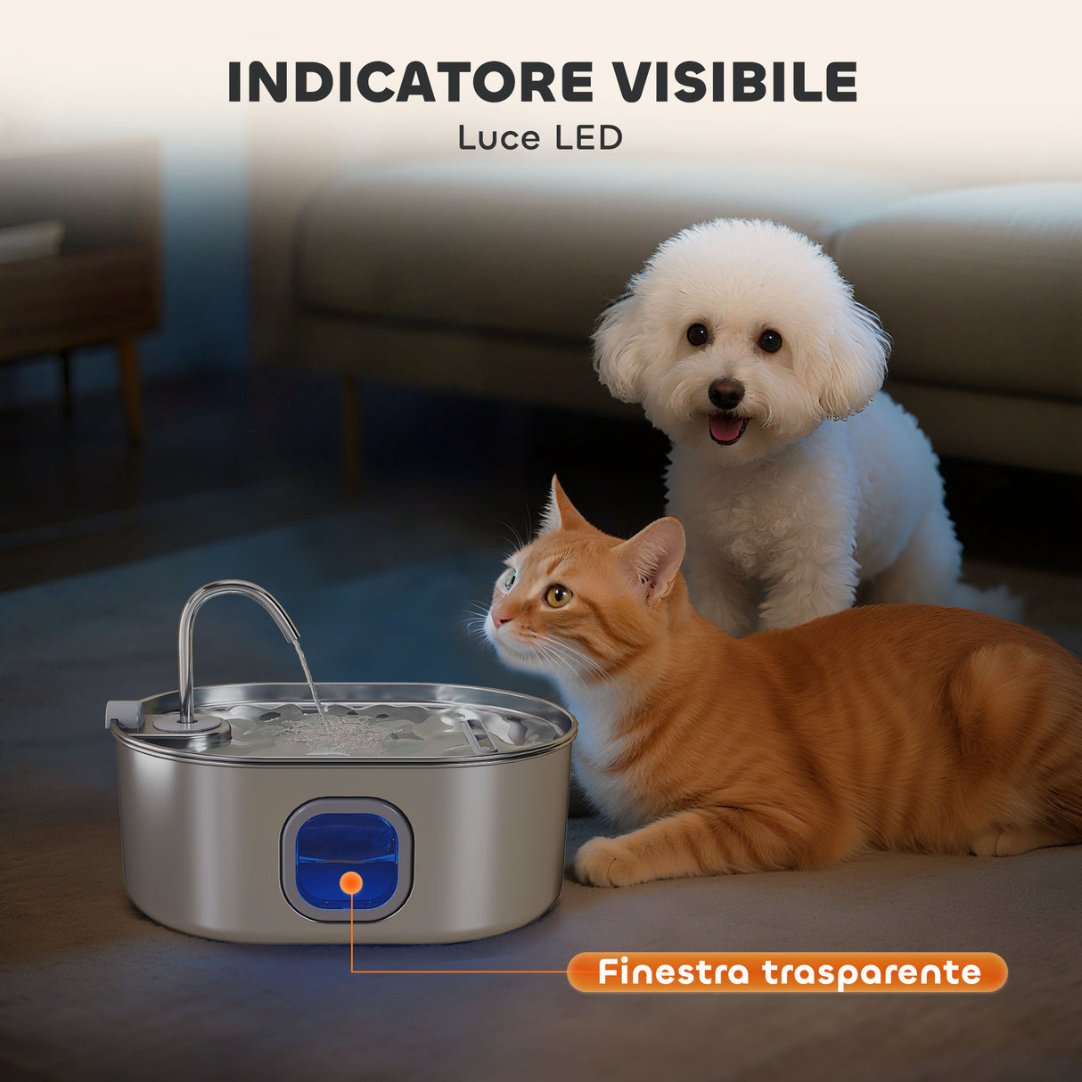easycomfort easycomfort fontanella per gatto da 7l con luce led e spazzola in acciaio inox 304 32x22 1x22 3 cm argento