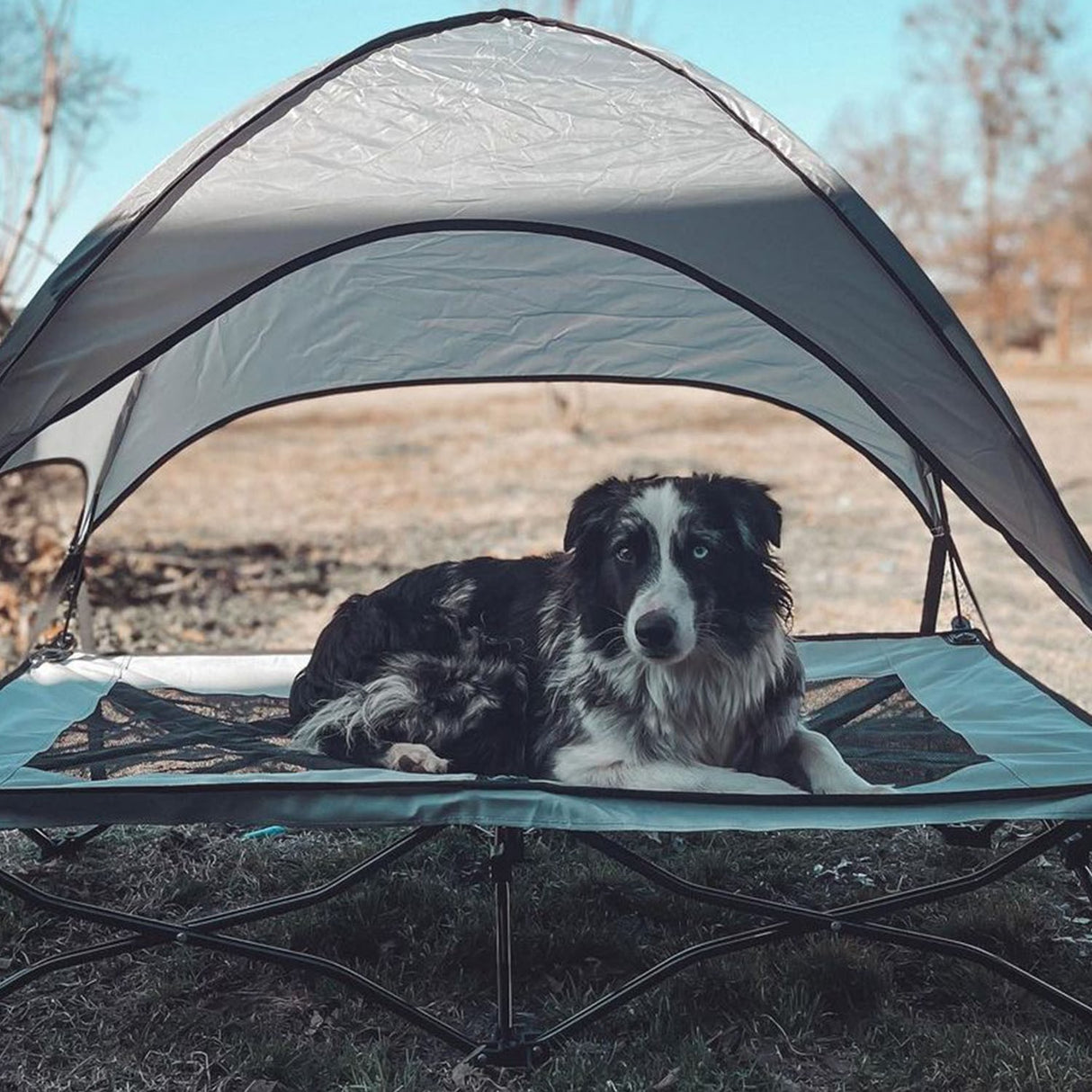 immagine-2-easycomfort-easycomfort-brandina-pieghevole-per-cani-con-tettuccio-da-esterno-o-interrno-grigio