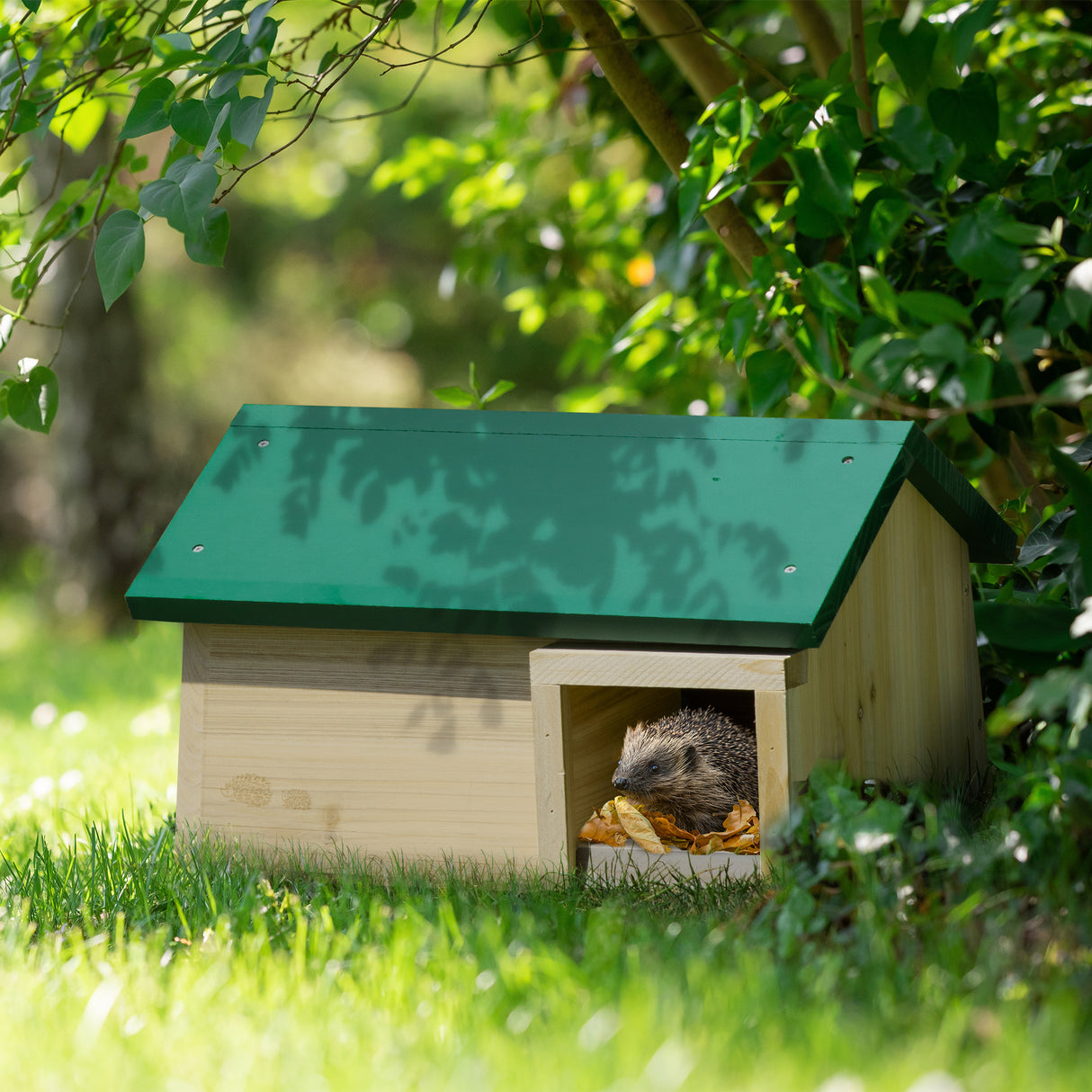 immagine-2-easycomfort-easycomfort-casetta-per-ricci-da-esterni-in-legno-di-abete-per-dormire-e-mangiare-47x34-2x27cm-color-legno-e-verde