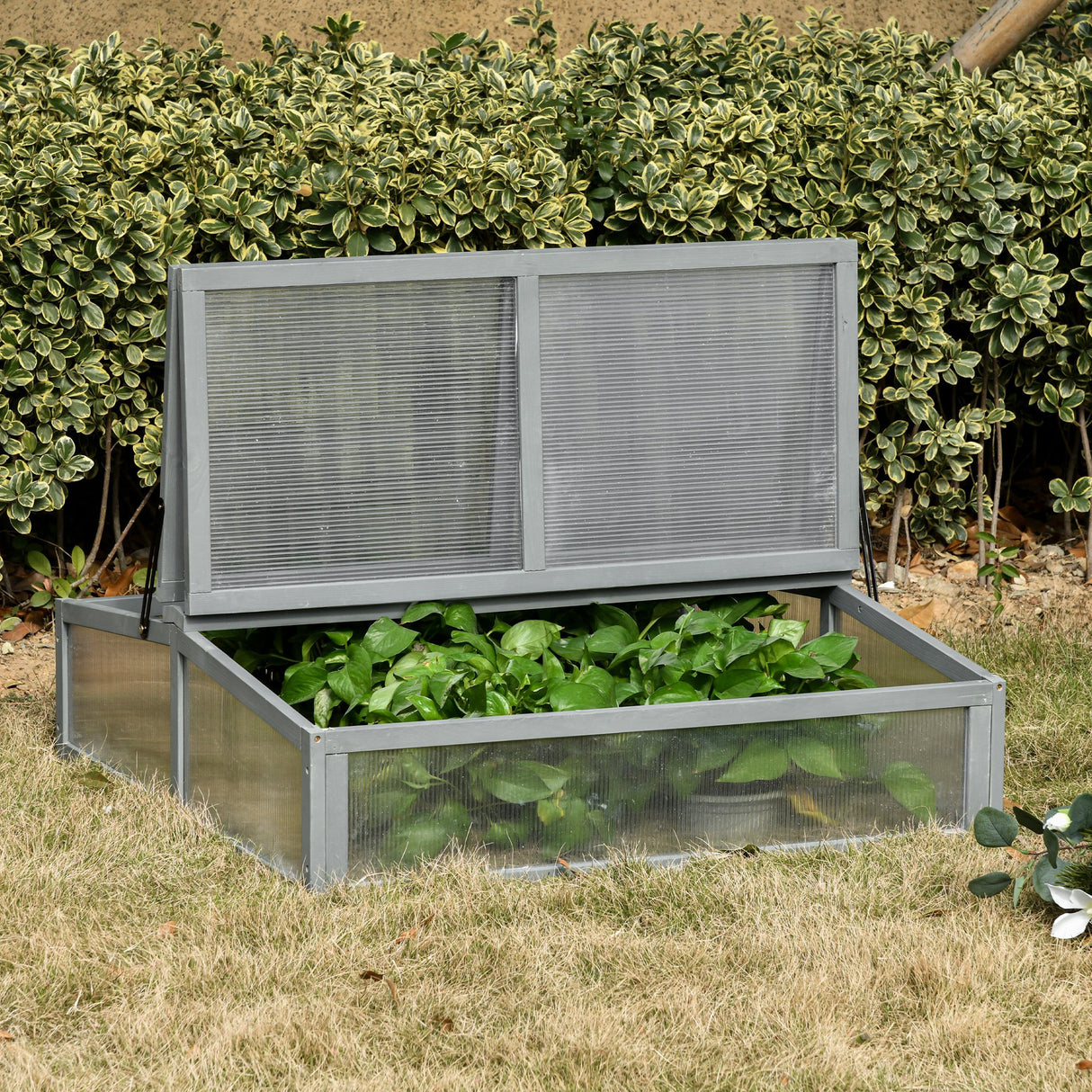 immagine-2-easycomfort-easycomfort-mini-serra-in-legno-e-policarbonato-serre-agricole-prezzi-da-balcone-o-da-giardino-grigia-90x92x28cm-ean-8054144138930