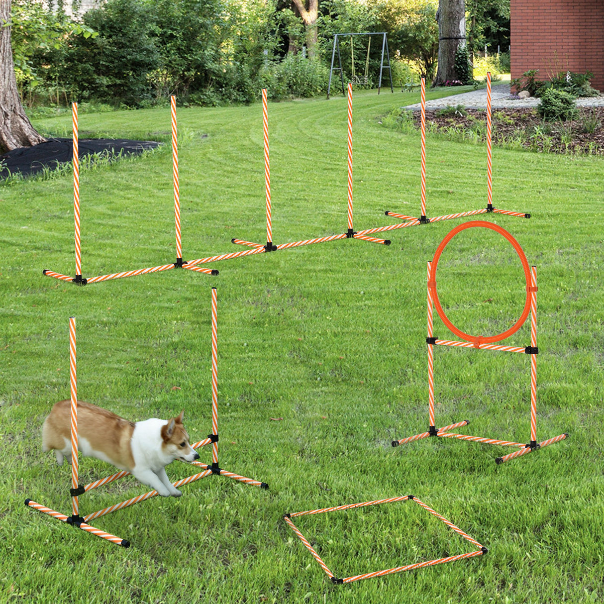immagine-2-easycomfort-easycomfort-set-agility-dog-per-addestramento-cani-con-slalom-ostacoli-regolabili-fischietto-e-sacca-di-trasporto