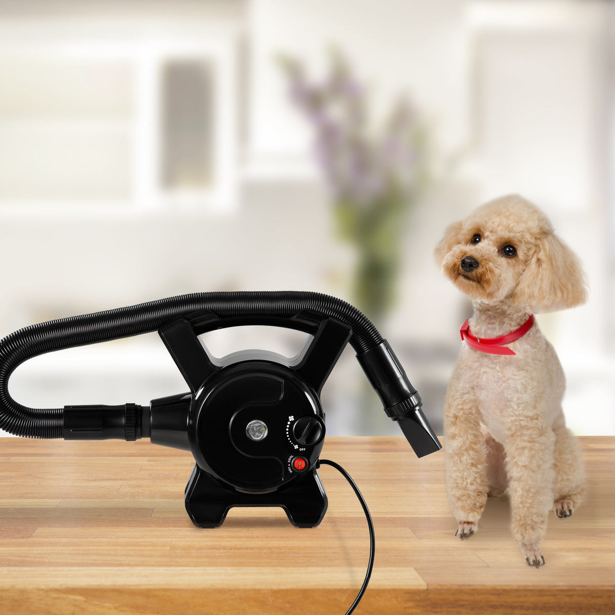 immagine-2-easycomfort-easycomfort-soffiatore-per-cani-con-velocita-e-temperatura-regolabili-tubo-flessibile-e-3-beccucci-2400w-nero