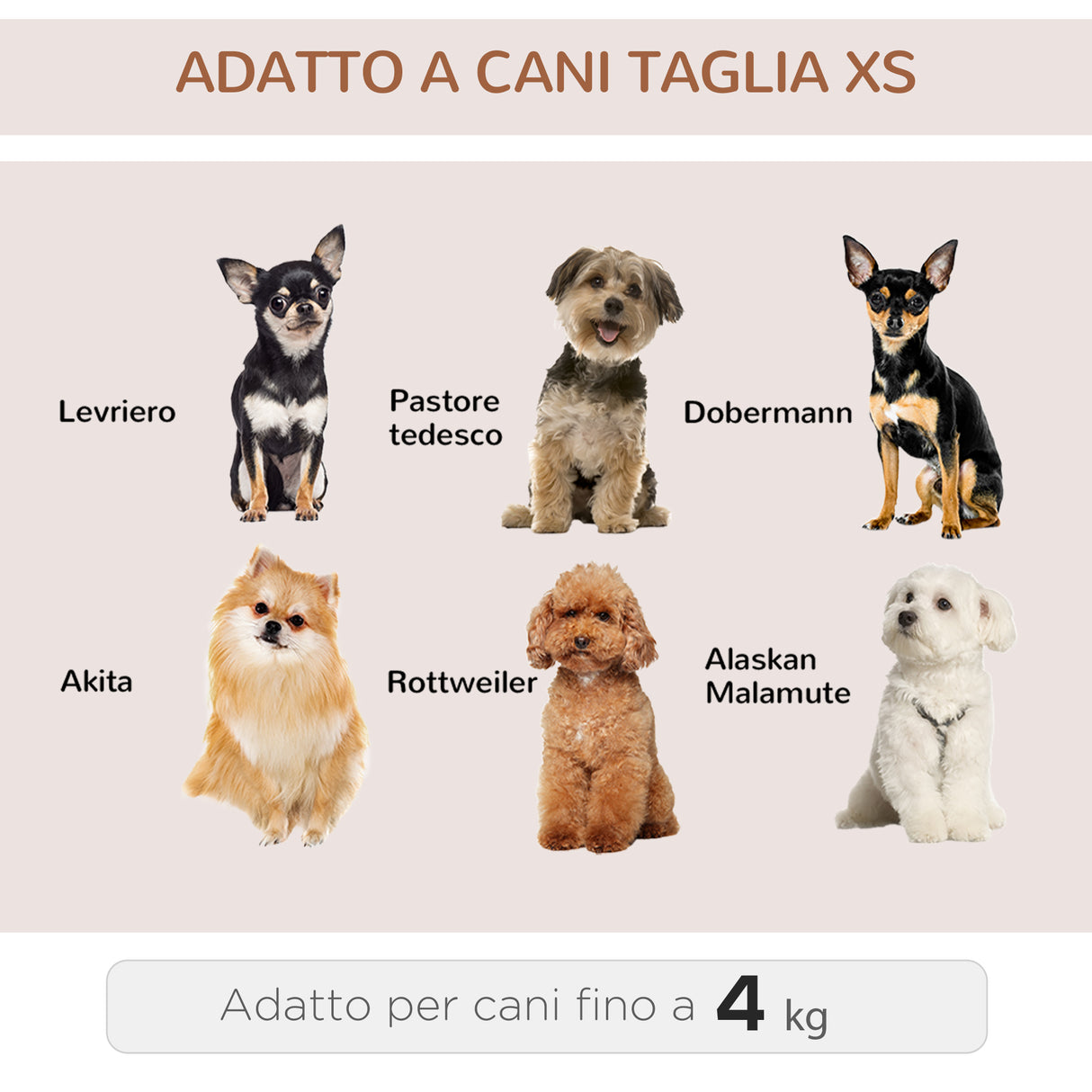 immagine-4-easycomfort-easycomfort-trasportino-per-cani-con-ingresso-a-cerniere-e-finestra-a-rete-in-tessuto-oxford-e-poliestere-43x33x51-5-cm
