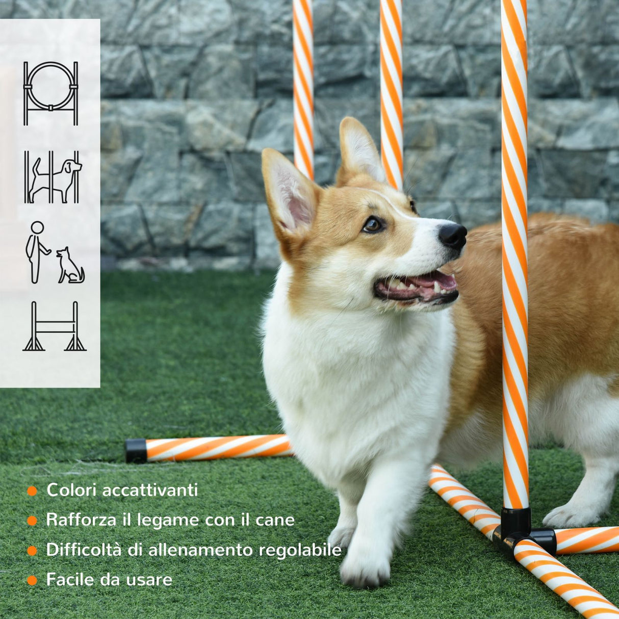 immagine-5-easycomfort-easycomfort-attrezzi-agility-dog-set-completo-percorso-agility-dog-con-5-pezzi-slalom-ostacolo-e-tunnel-arancione