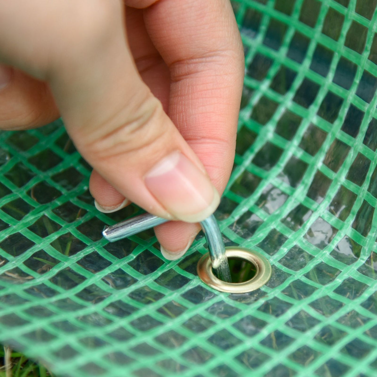 immagine-6-easycomfort-easycomfort-serra-da-giardino-in-acciaio-e-pe-porte-avvolgibili-con-cerniere-e-finestre-180x140x80cm