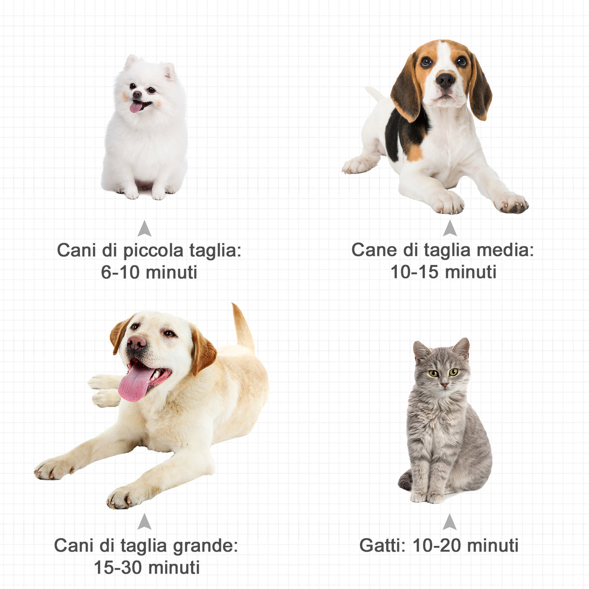 immagine-6-easycomfort-easycomfort-soffiatore-per-cani-con-velocita-e-temperatura-regolabili-tubo-flessibile-e-3-beccucci-2400w-nero