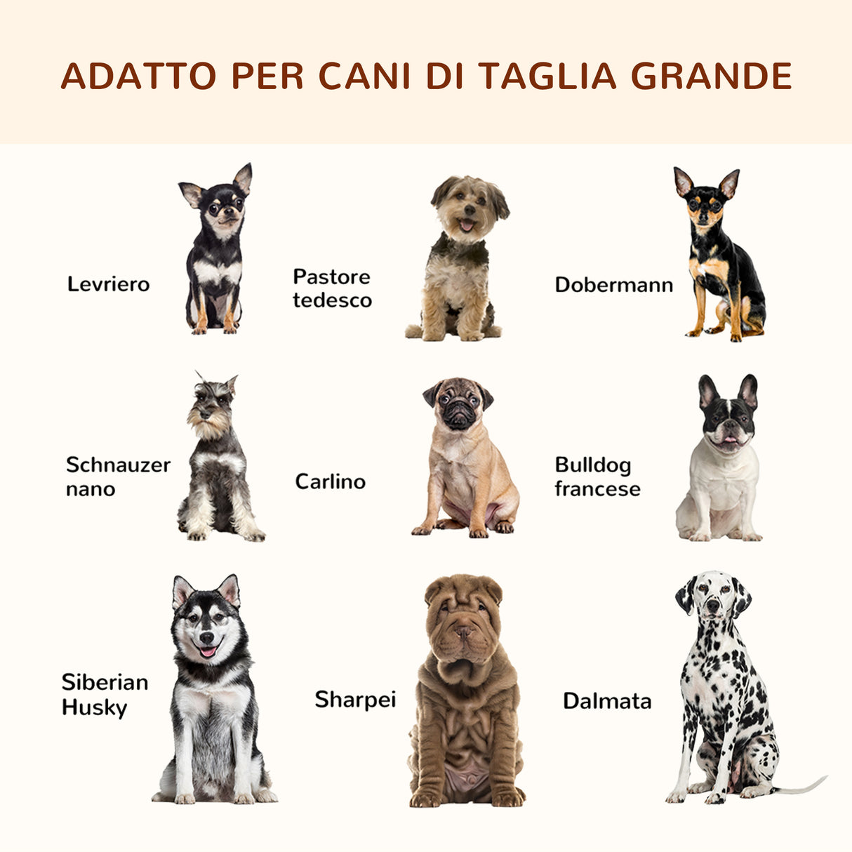 immagine-7-easycomfort-easycomfort-brandina-per-cani-rialzata-con-cuscino-rimovibile-cani-fino-a-30kg-120x80x30cm