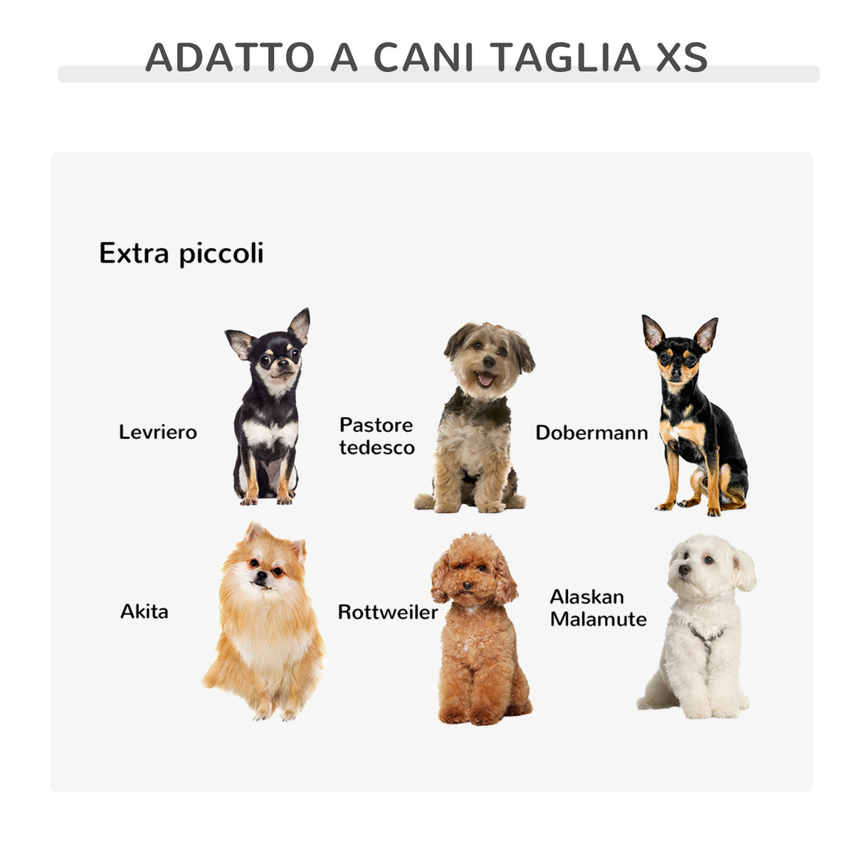immagine-7-easycomfort-easycomfort-cuccia-di-design-per-gatti-o-cani-fino-4kg-in-metallo-oro-e-velluto-verde-petrolio-41-5x41-5x36-5cm-ean-8054111844970