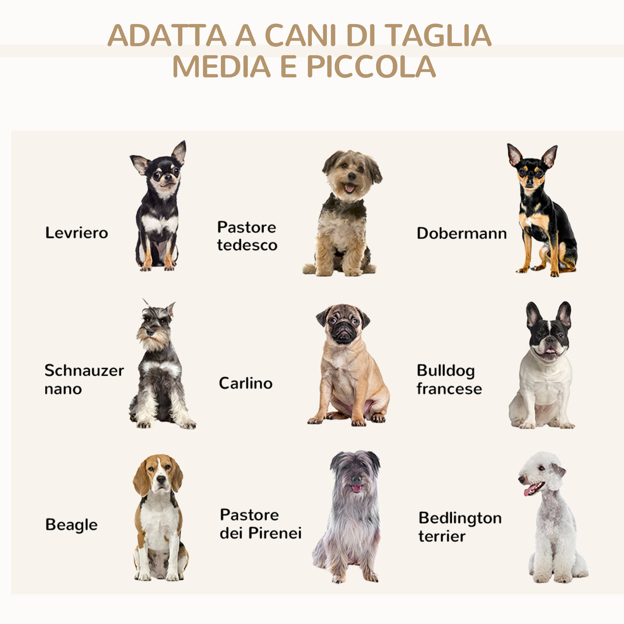 immagine-7-easycomfort-easycomfort-divano-per-cani-e-gatti-con-vano-contenitore-e-rivestimento-vellutato-80x40x46cm-grigio-scuro