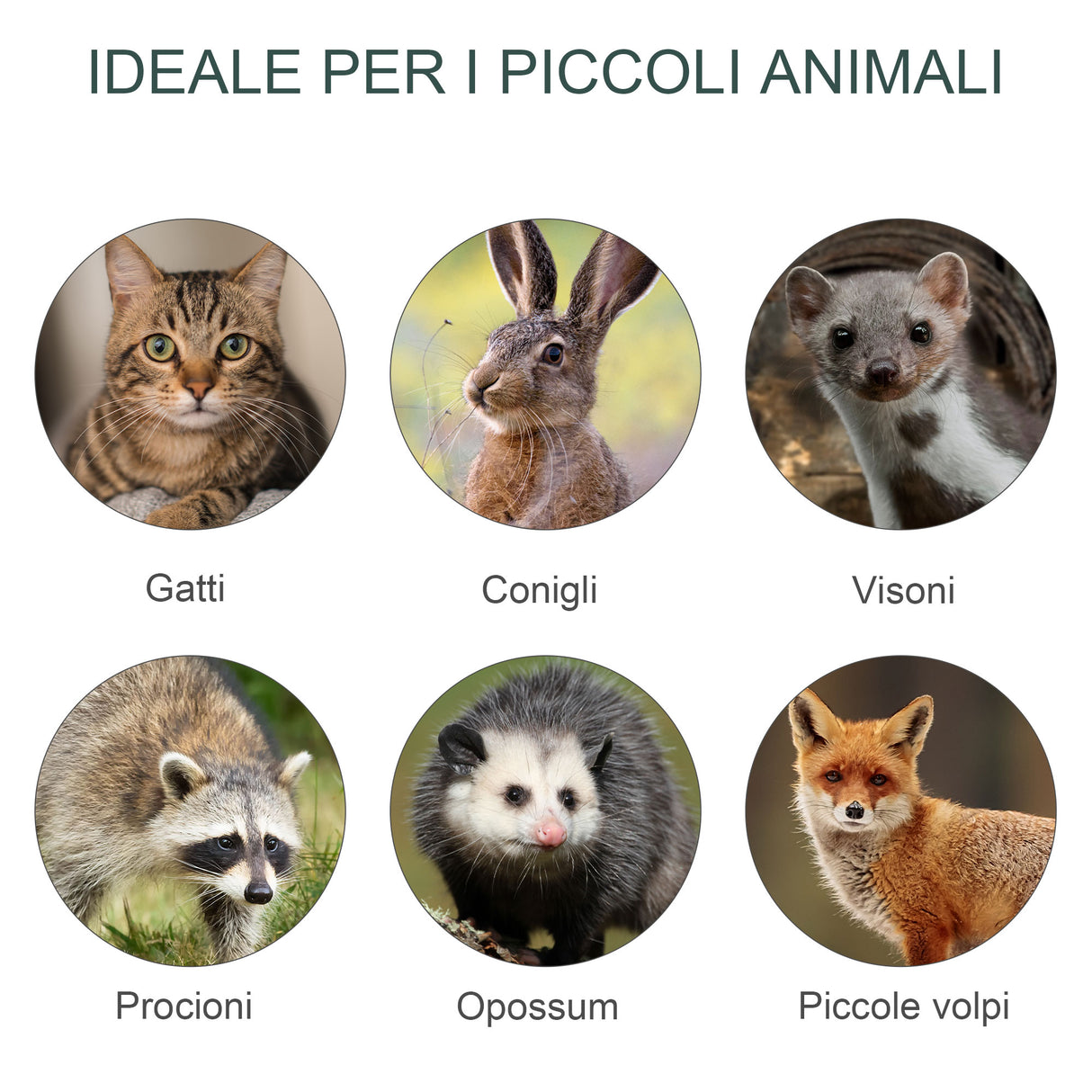 immagine-7-easycomfort-easycomfort-gabbia-trappola-per-animali-vivi-con-doppia-porta-trappola-per-conigli-gatti-e-piccoli-animali-100x25x28cm-ean-8054111840934