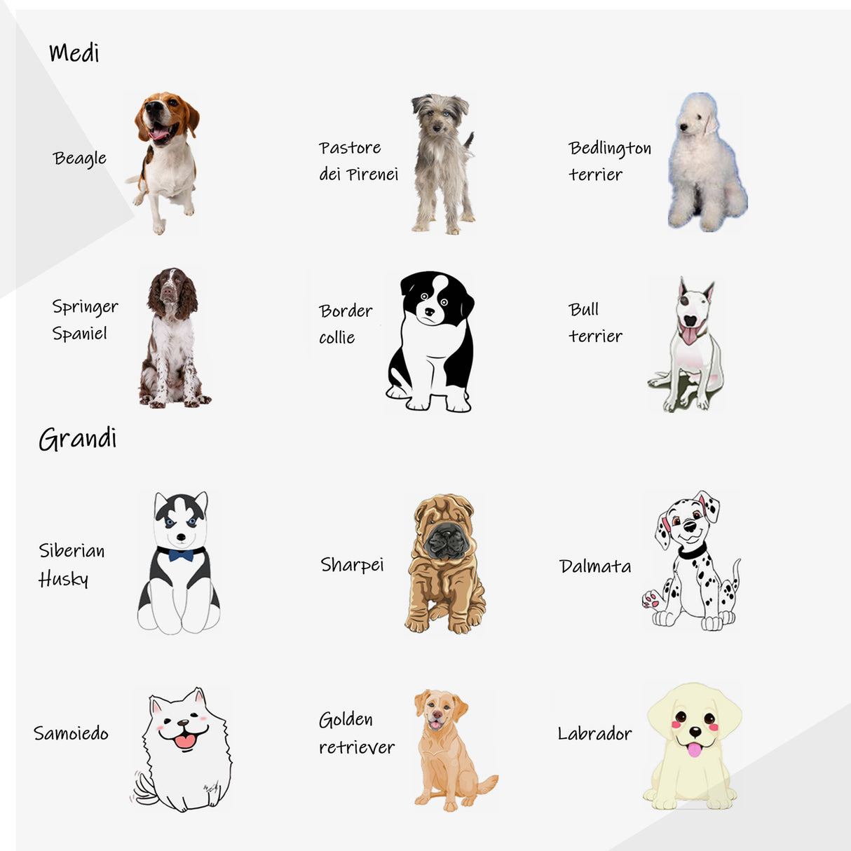 immagine-8-easycomfort-easycomfort-brandina-pieghevole-per-cani-con-tettuccio-da-esterno-o-interrno-grigio