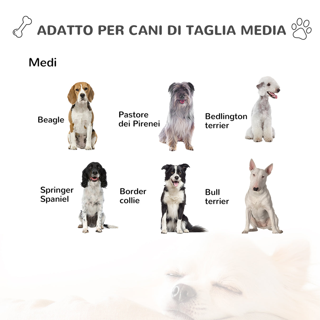 immagine-8-easycomfort-easycomfort-casetta-per-cani-da-esterno-con-porta-e-terrazza-cuccia-per-cani-di-taglia-media-tetto-apribile-e-finestra-grigio