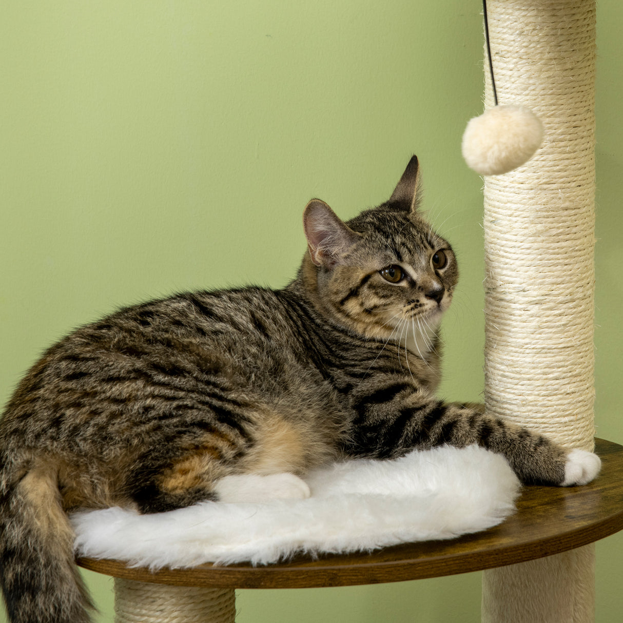 immagine-9-easycomfort-easycomfort-tiragraffi-per-gatti-con-mobile-porta-lettiera-posatoi-e-pallina-da-gioco-49x46x131-5-cm-marrone