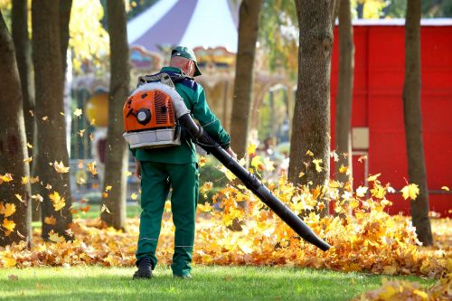 Come pulire il giardino: guida alla manutenzione