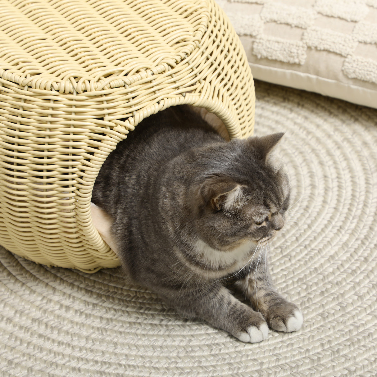 easycomfort casetta per gatti a 2 livelli in rattan pe con cuscino lavabile o40x30 cm beige