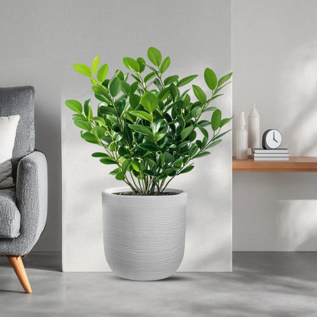 divina garden vaso in resina da esterno interno per piante cilindro di design d 35x34h raffaello bianco ean 8056157809012