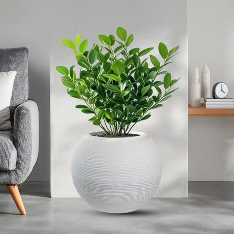 divina garden vaso in resina da esterno interno per piante tondo a sfera di design d 40x33h botticelli bianco ean 8056157808961