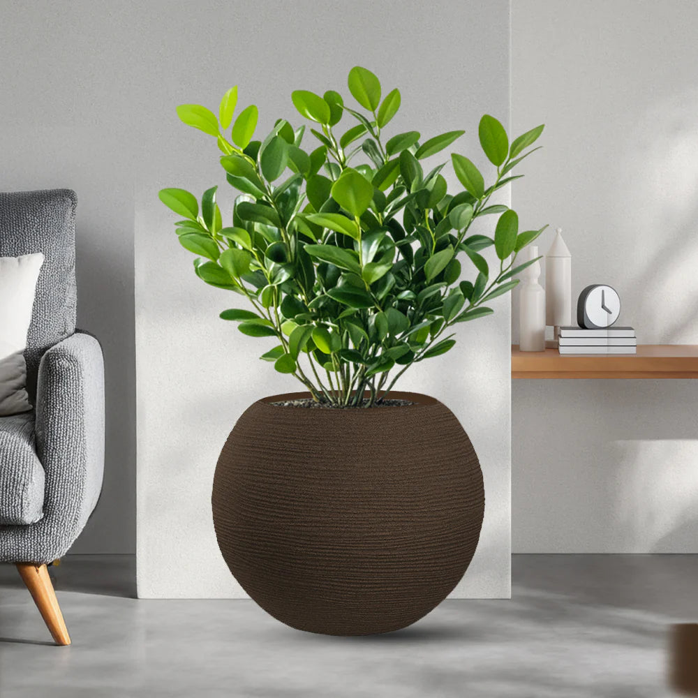 divina garden vaso in resina da esterno interno per piante tondo a sfera di design d 40x33h botticelli marrone ean 8056157808992