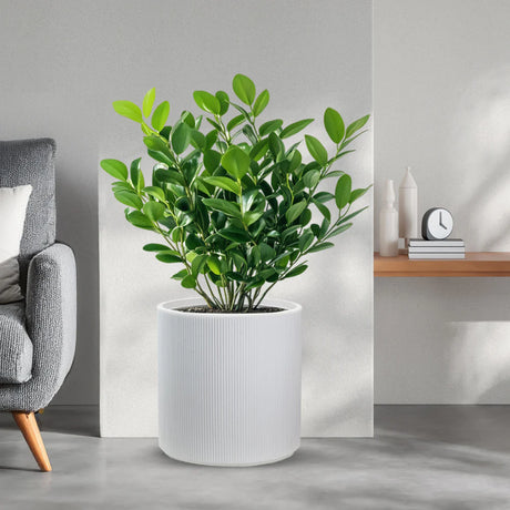 divina garden vaso in resina da esterno interno per piante tondo cilindrico di design d 36x35h modigliani bianco ean 8056157808923