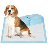 easycomfort easycomfort set 80 tappetini igienici per cani a 6 strati in tessuto non tessuto carta e pe 60x60 cm blu e bianco