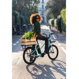 immagine-19-nilox-bicicletta-elettrica-nilox-urban-cargo-e-bike-c2-cargo-mid-36v-250-30nxebcmmv1-ean-8054320848912