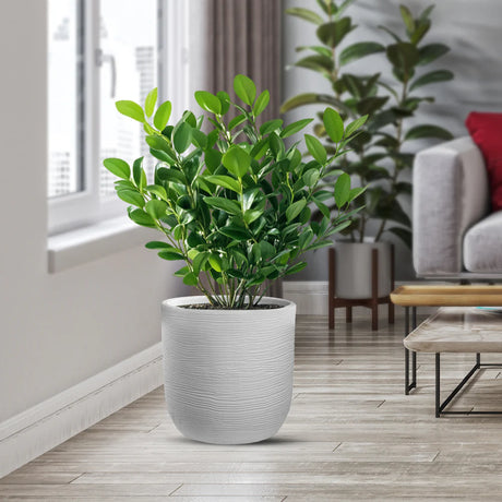 divina garden vaso in resina da esterno interno per piante cilindro di design d 35x34h raffaello bianco ean 8056157809012