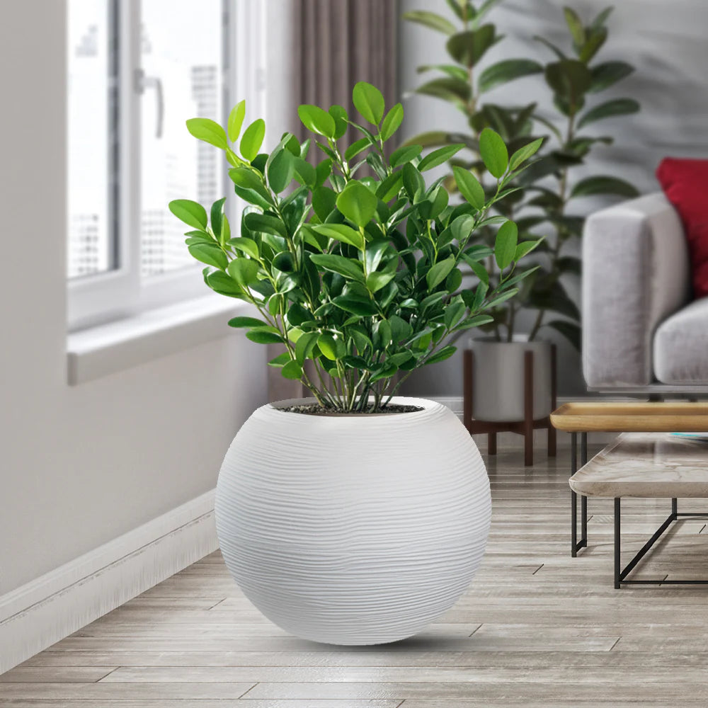 divina garden vaso in resina da esterno interno per piante tondo a sfera di design d 40x33h botticelli bianco ean 8056157808961