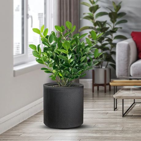 divina garden vaso in resina da esterno interno per piante tondo cilindrico di design d 36x35h modigliani grigio ean 8056157808947