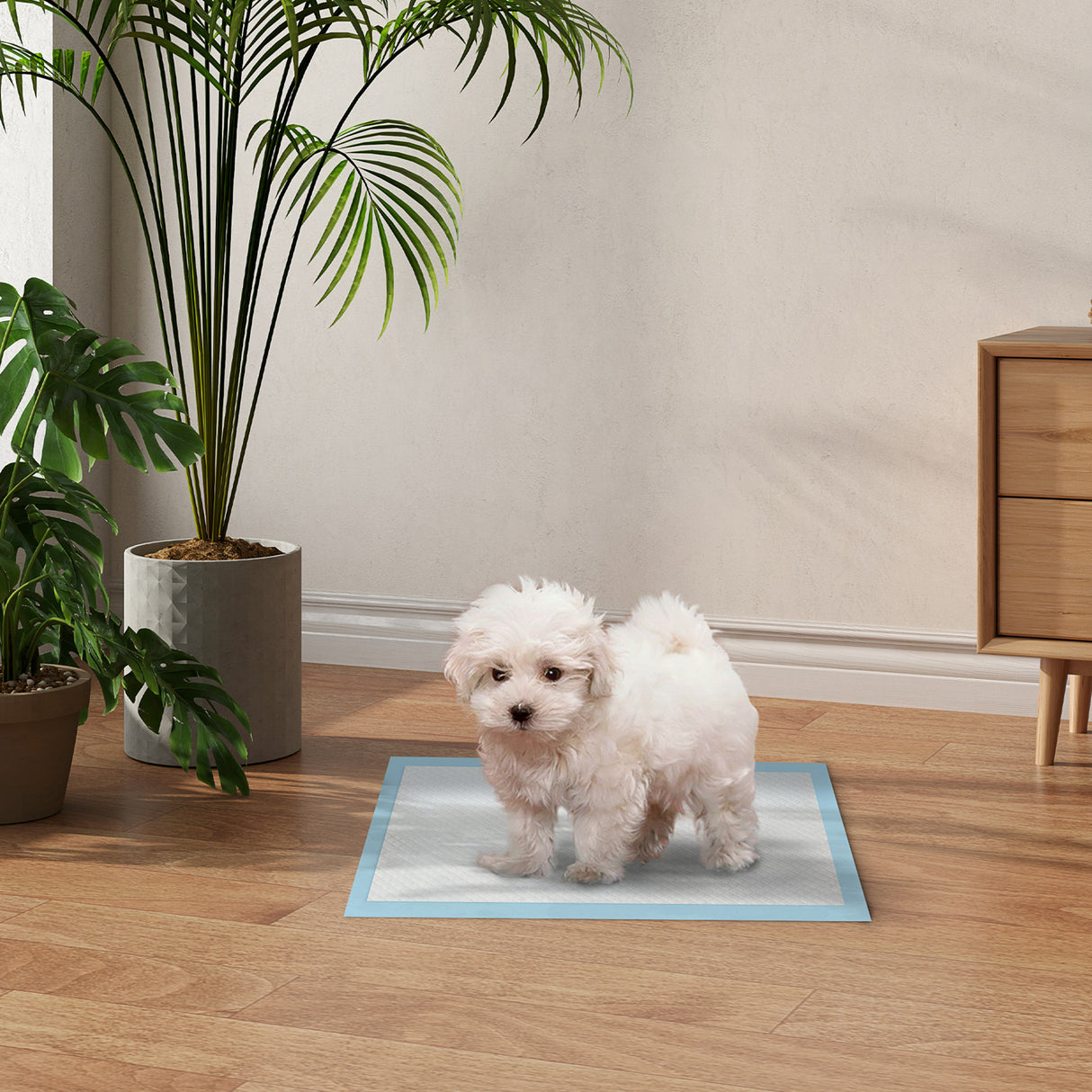 easycomfort easycomfort set 100 tappetini igienici per cani a 6 strati in tessuto non tessuto carta e pe 45x30 cm blu e bianco