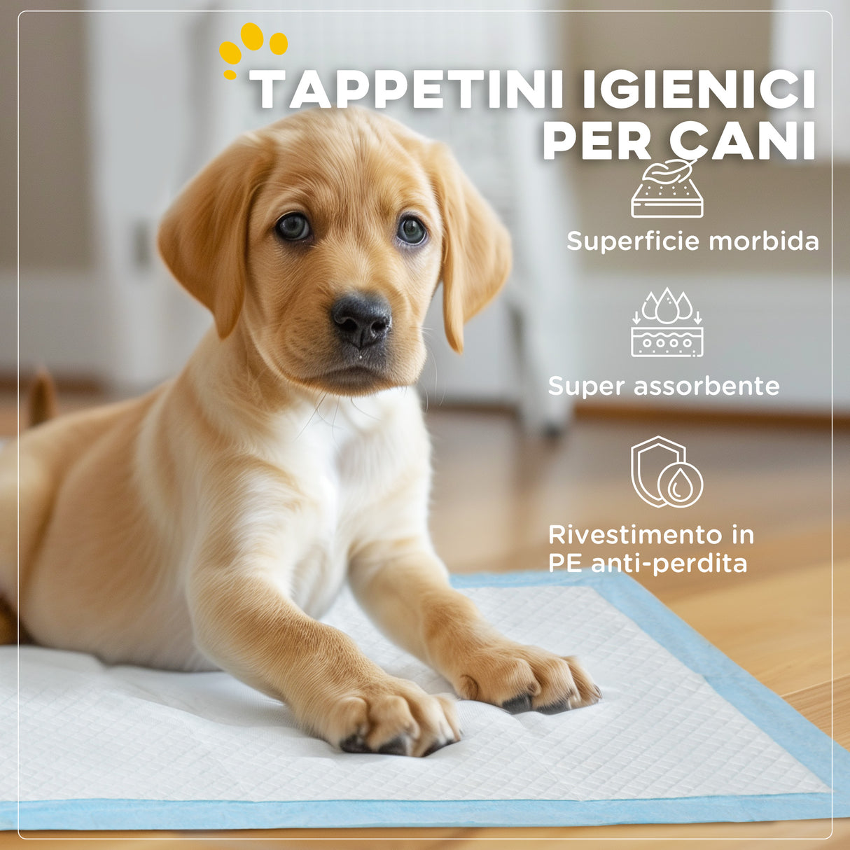 easycomfort easycomfort set 80 tappetini igienici per cani a 6 strati in tessuto non tessuto carta e pe 60x60 cm blu e bianco