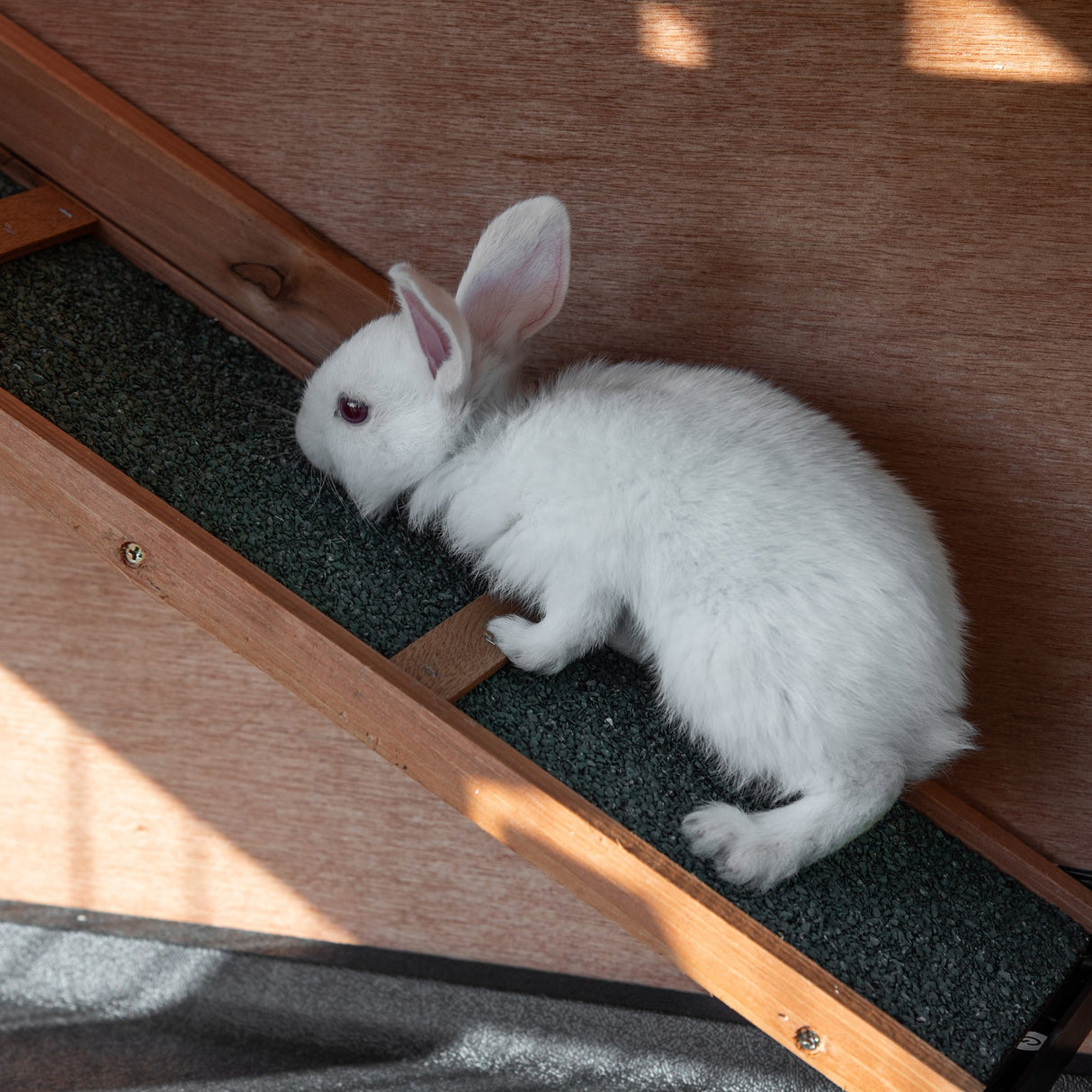 easycomfort easycomfort conigliera in legno a 2 livelli con ruote vassoio estraibile e rampa 122x50x101cm