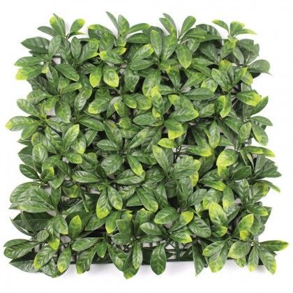 immagine-1-evergreen-x4-pz-lauro-finta-siepe-ceraso-plus-50x50-cm-48658-ean-8053323388364