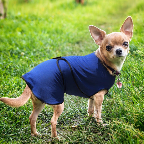 immagine-2-easycomfort-easycomfort-pettorina-refrigerante-per-cani-di-taglia-xs-in-microfibra-traspirante-blu-ean-8054111840187